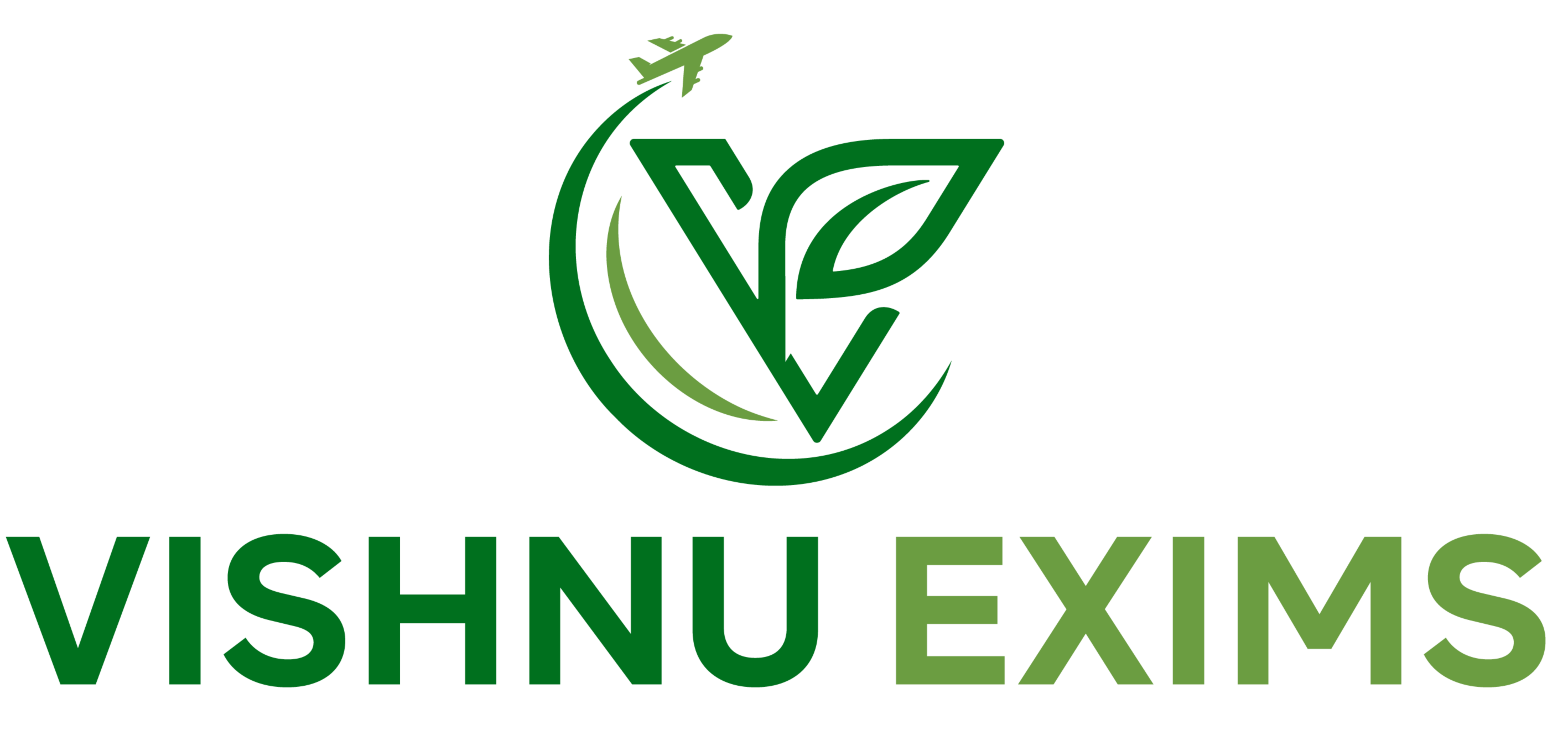 cropped-Vishnu-Exim-1-04-1.png