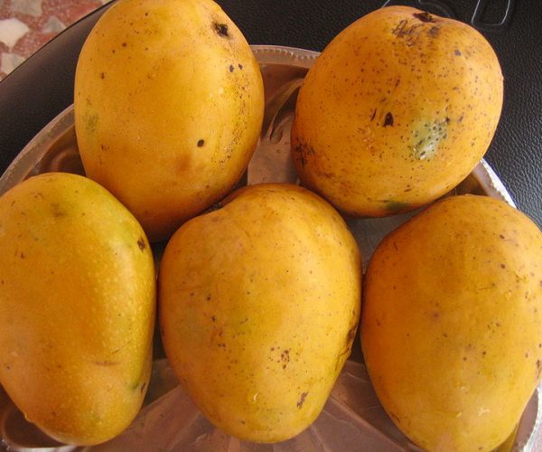 mango