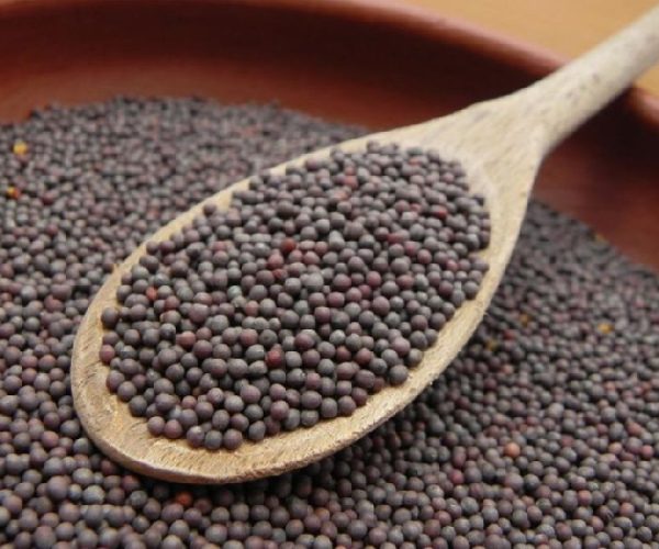 mustard seed