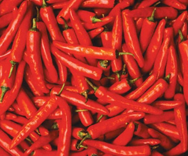 red chilli